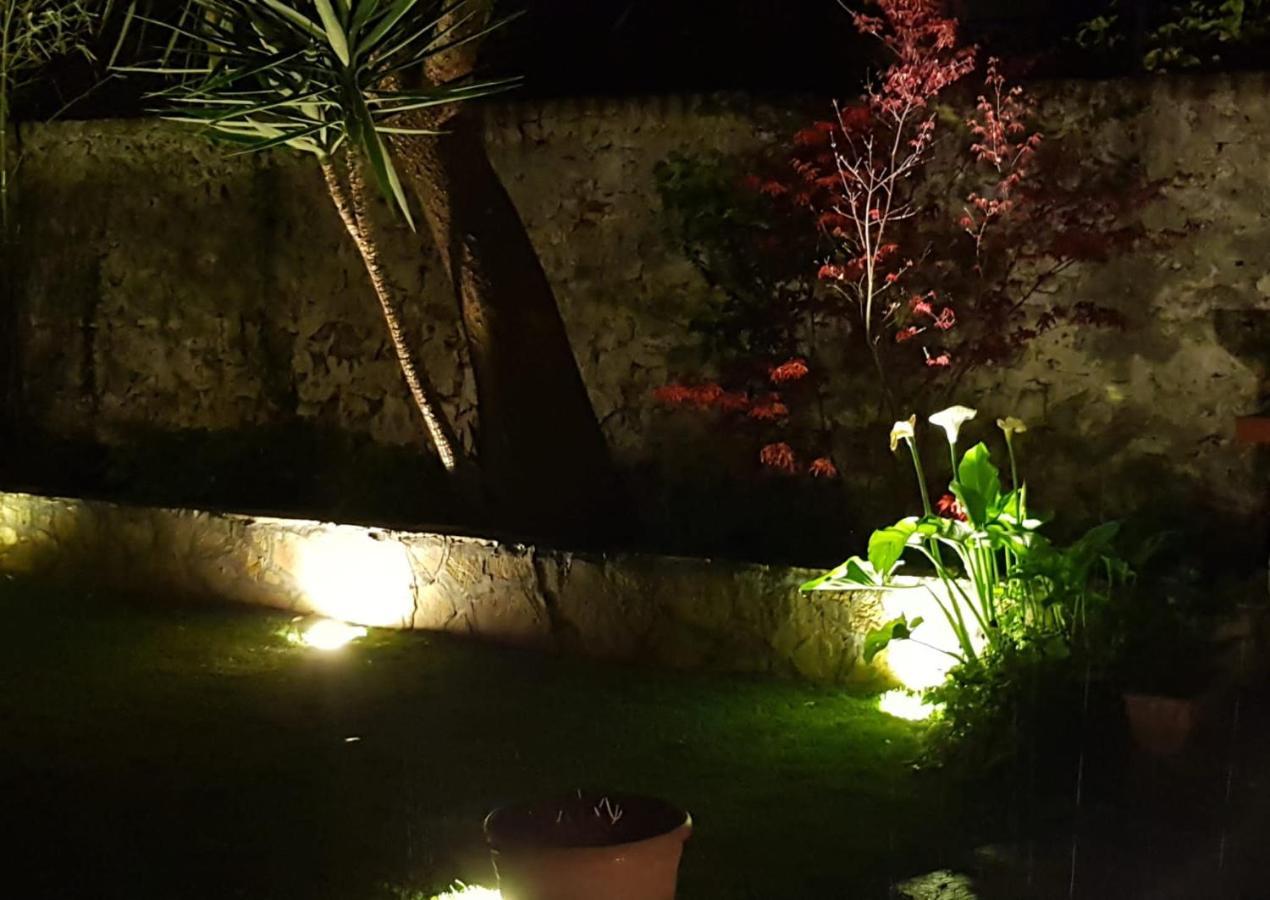 La Casa Con Piscina Riscaldata Interna Anna Luxury Garden Leilighet Pisa Eksteriør bilde